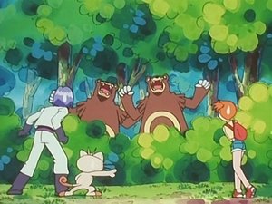Pokémon Lesní nesnáze