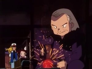 Pokémon Slavné meruňáky