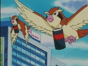 Pokémon Pidgeypošta