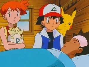 Pokémon Blouznění