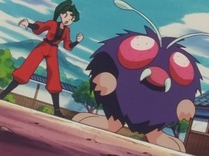 Pokémon Ariados, Amigos