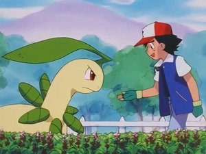 Pokémon Smiřování s Bayleef
