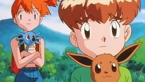 Pokémon Eeveeho bratři