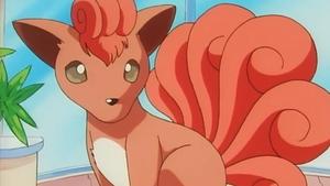 Pokémon Pokémonská módní přehlídka