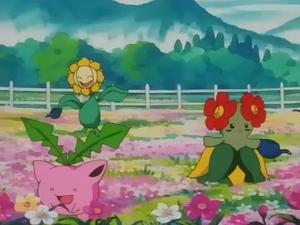 Pokémon Travnatá cesta