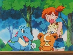 Pokémon Lstivý medvěd