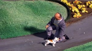 Robot Chicken 13. epizoda