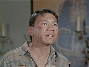 Bonanza 20. epizoda