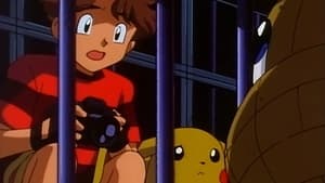 Pokémon Tajemství chovatelského střediska