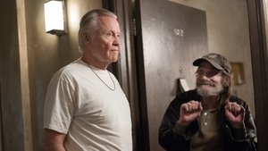 Ray Donovan Volcheck