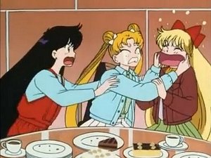 Sailor Moon 30. epizoda