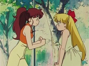 Sailor Moon 19. epizoda