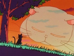 Sailor Moon 31. epizoda