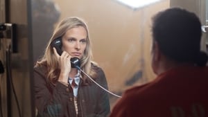 Ray Donovan Sněhová vločka
